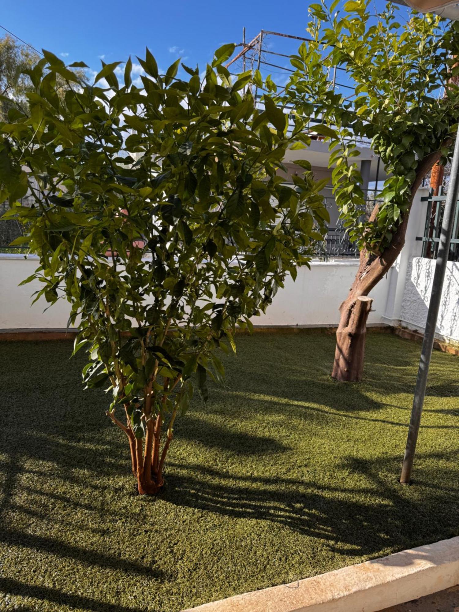 Salamis Luxury Escape Vila Exterior foto